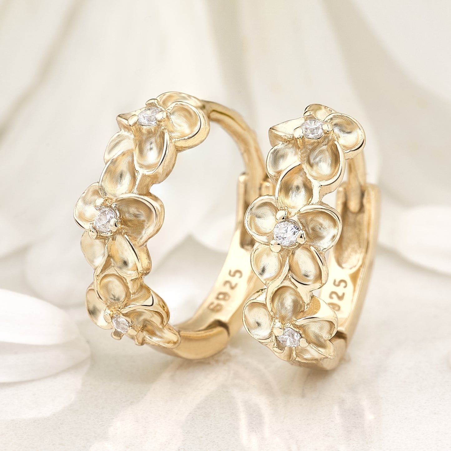 Aretes Plata Oro